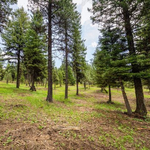 $500,000 | Lot 9 To Be Determined Mccall Id 83638, Unit 9 | McCall