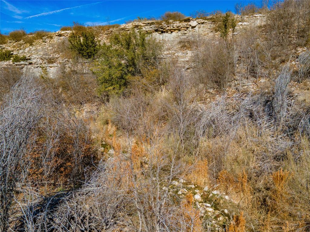 a view of a dry yard with a mountain in the background