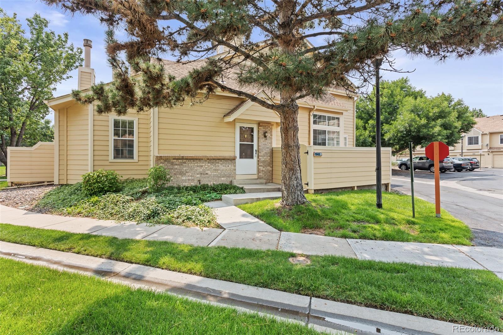 a front view of a house with a yard and large tree