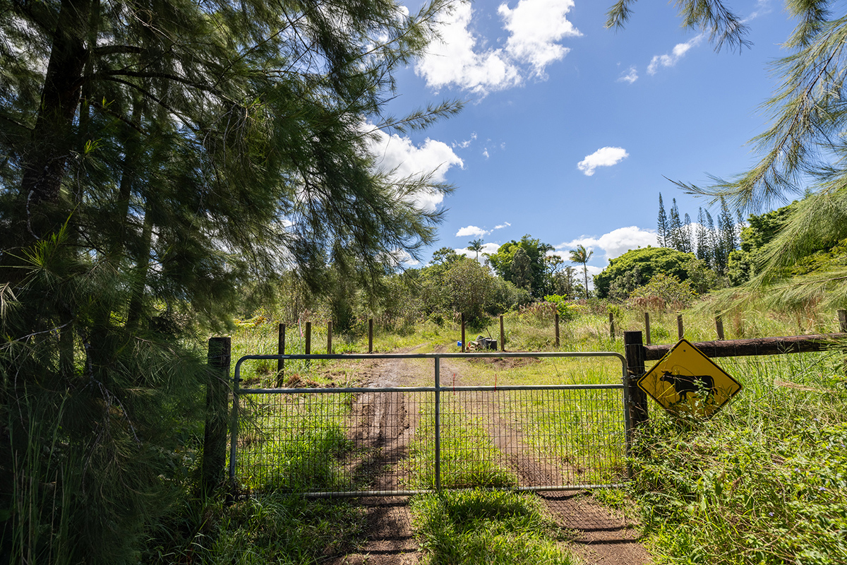 a view of a garden