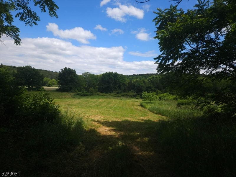 a view of an outdoor space and a yard