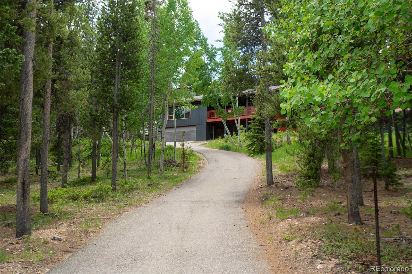 a view of a back yard with green space