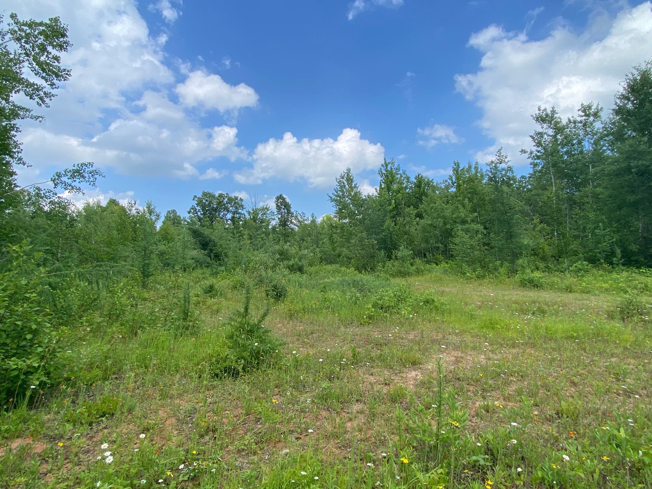 Xxx Little Sand Road, Hinckley, MN 55037 | Compass