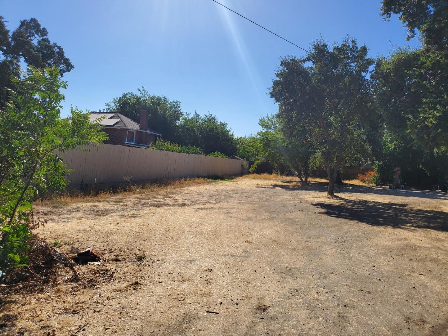 a view of a yard with a tree