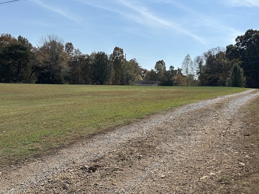 a view of a field with trees in background