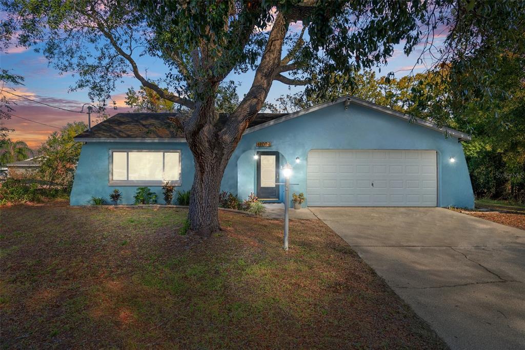 a house that has a tree in front of it