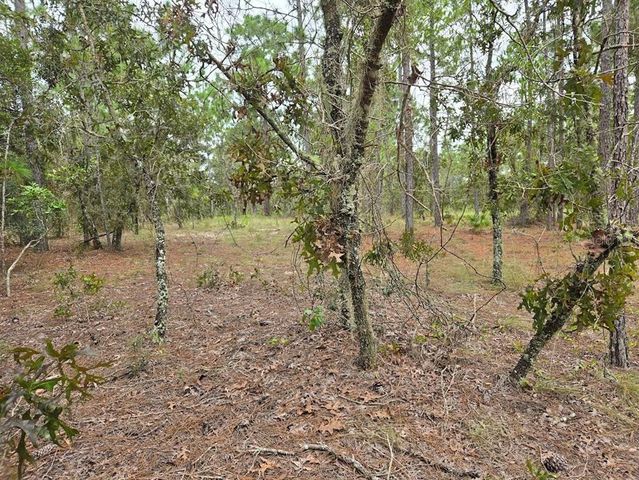 $25,900 | Southwest Mango Lane | Rainbow Lakes Estates