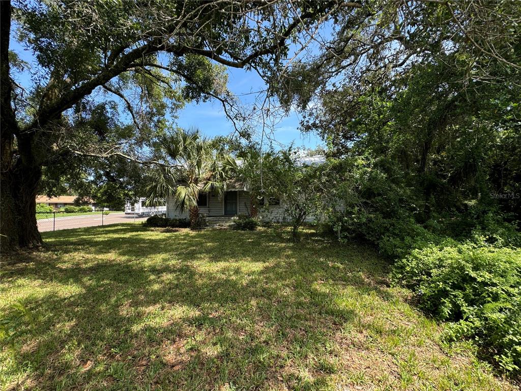 a view of a tree in a yard