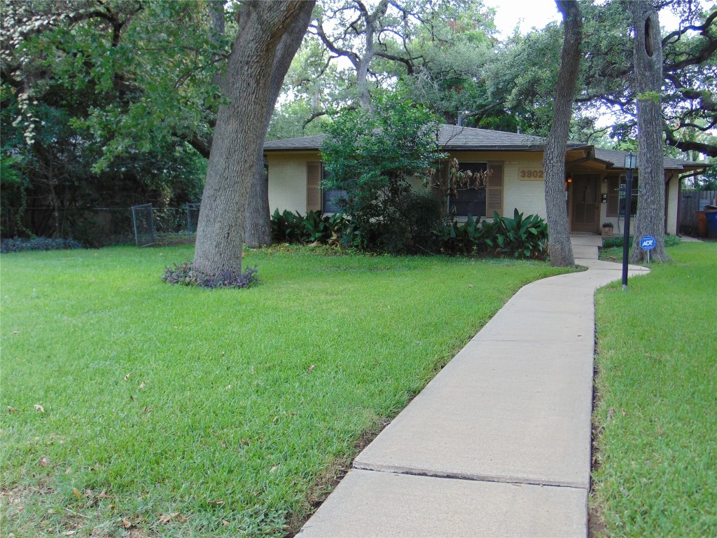 a view of a house with a yard and a large tree