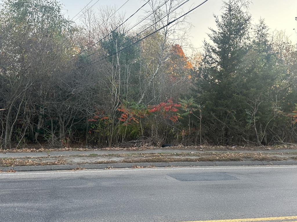 a view of road and trees