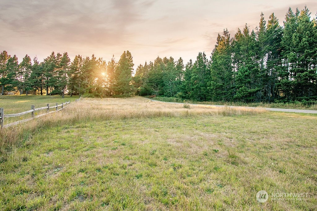 a view of open space with trees