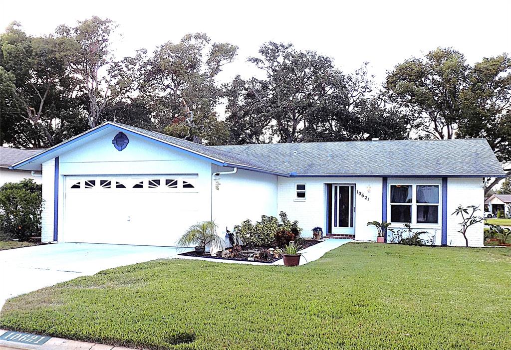 a front view of a house with a garden and plants