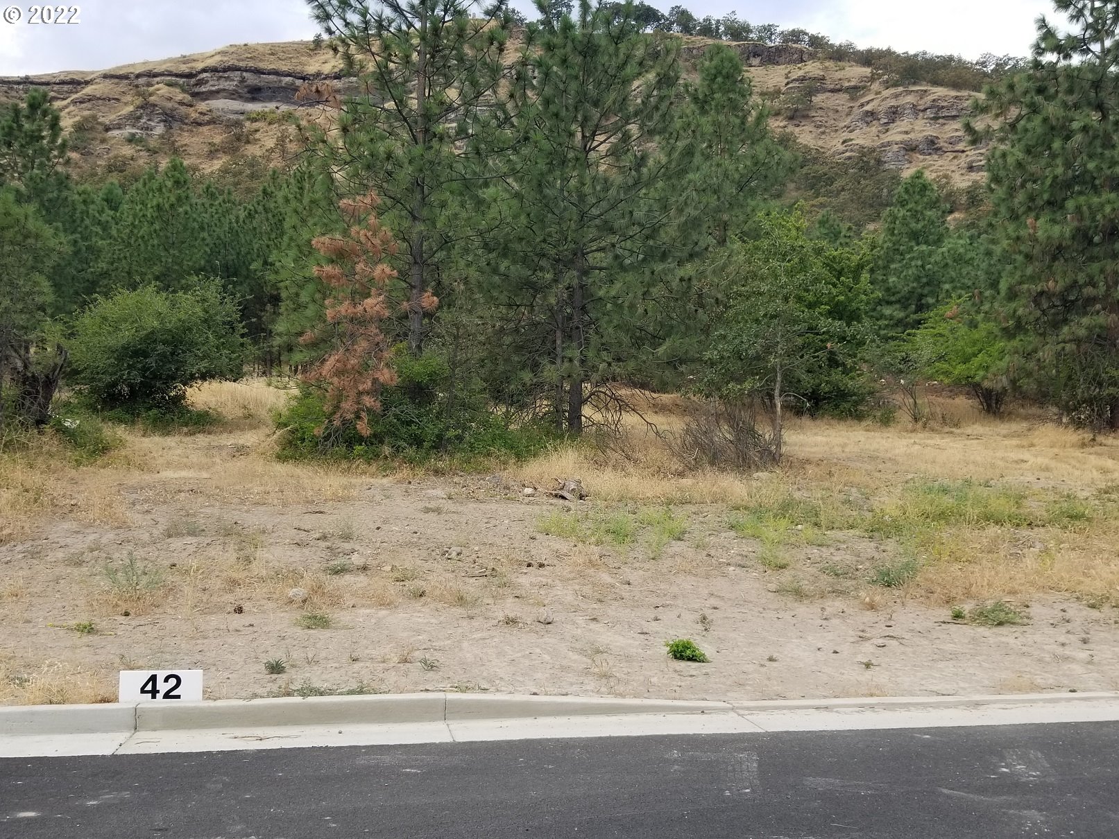 a view of a yard with a tree