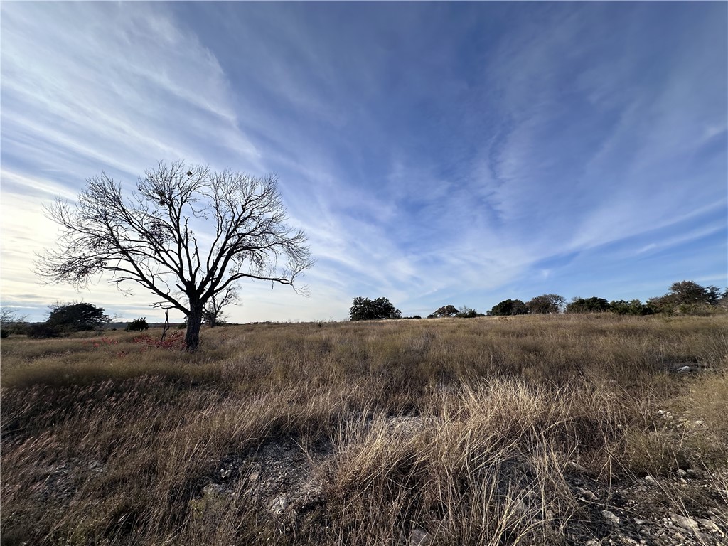 a view of mountain view with trees