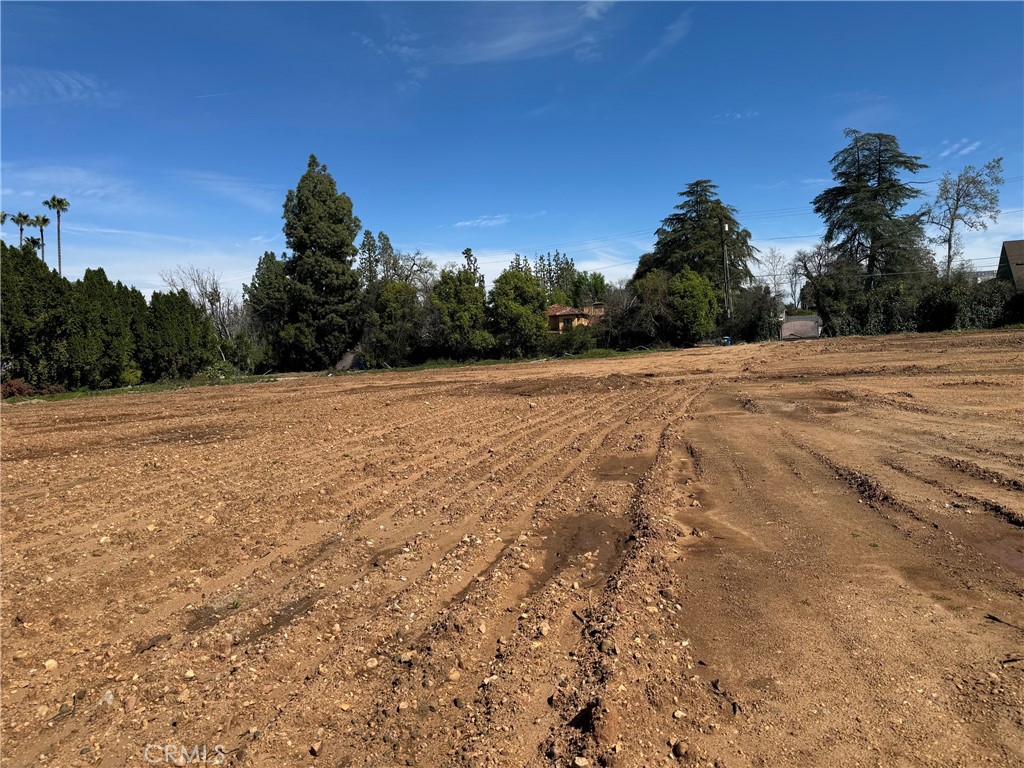 a view of empty field with trees in the background