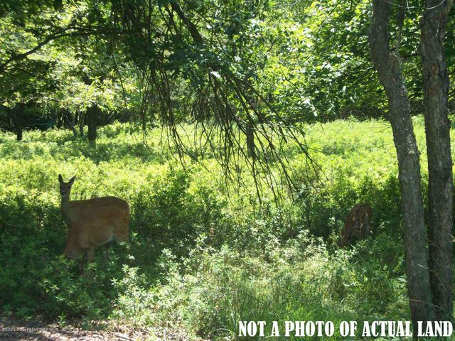 $10,900 | Restricted Address | Penn Forest Township - Carbon County