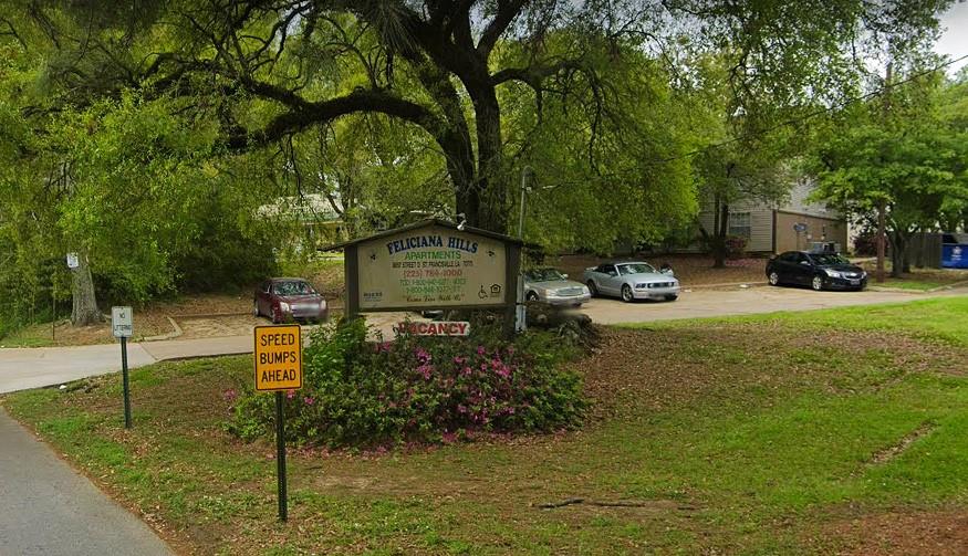 a view of a park that has a tree