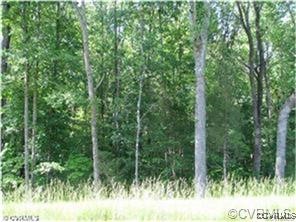 a view of a yard with trees in front of it