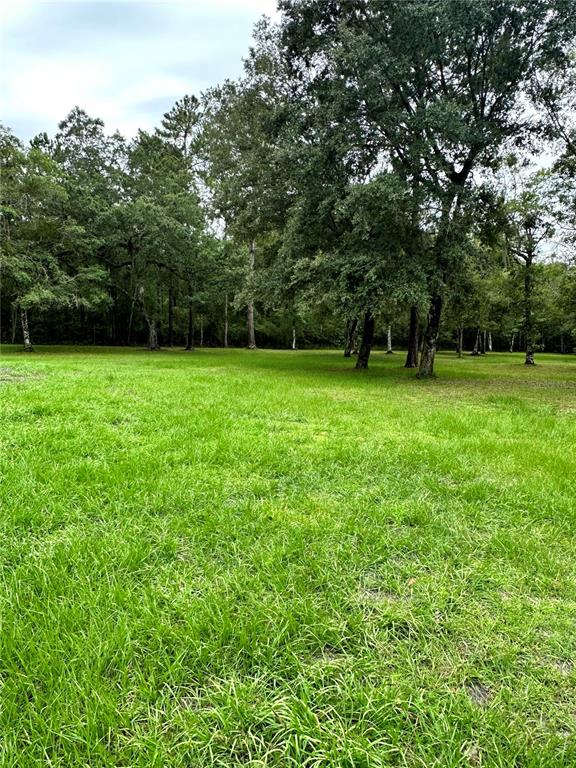 a view of a green yard