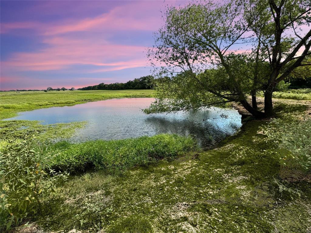 a view of lake with houses in the back