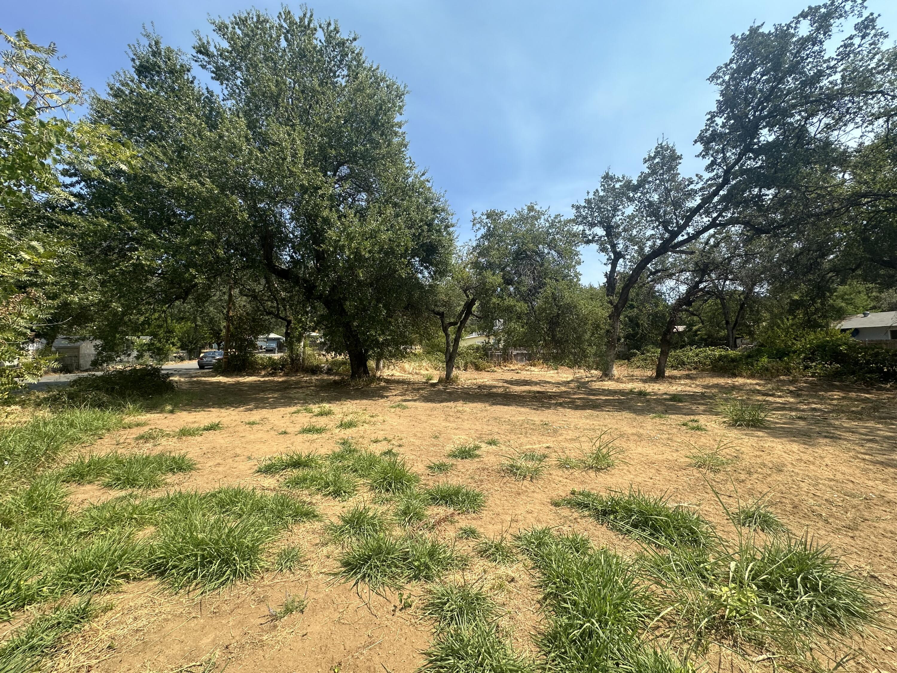 a view of yard covered with trees