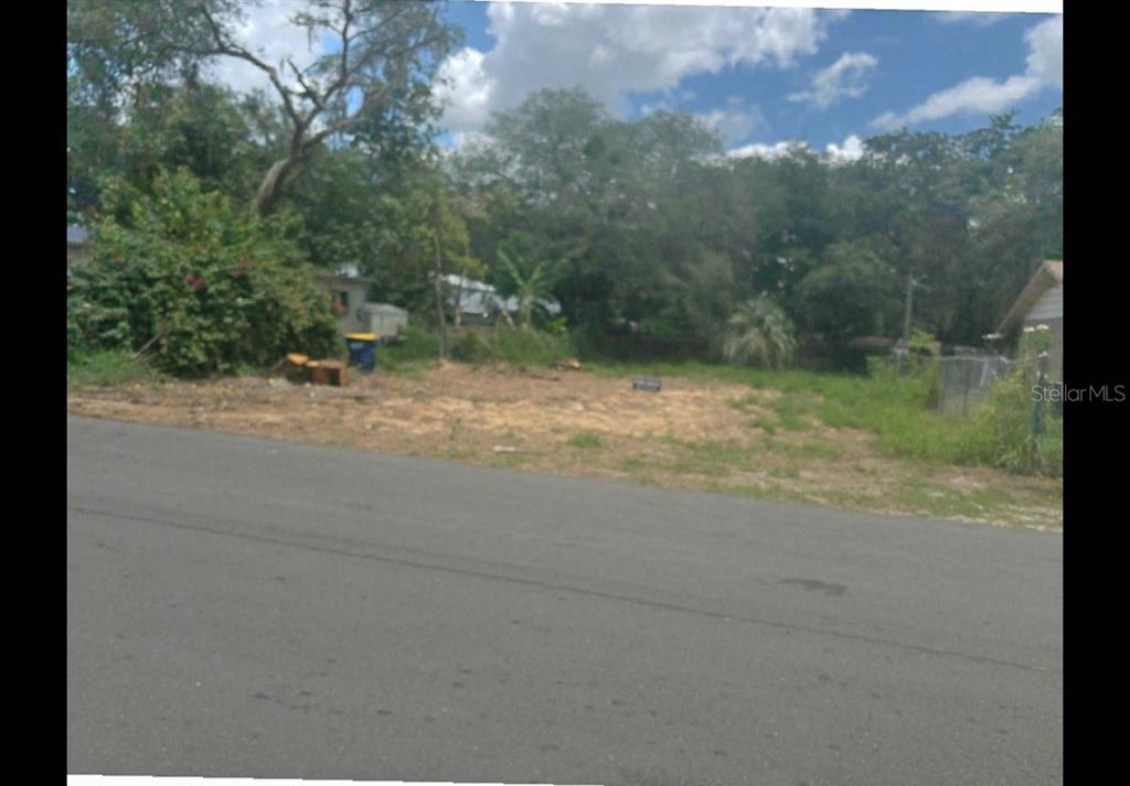 a view of a yard with a tree