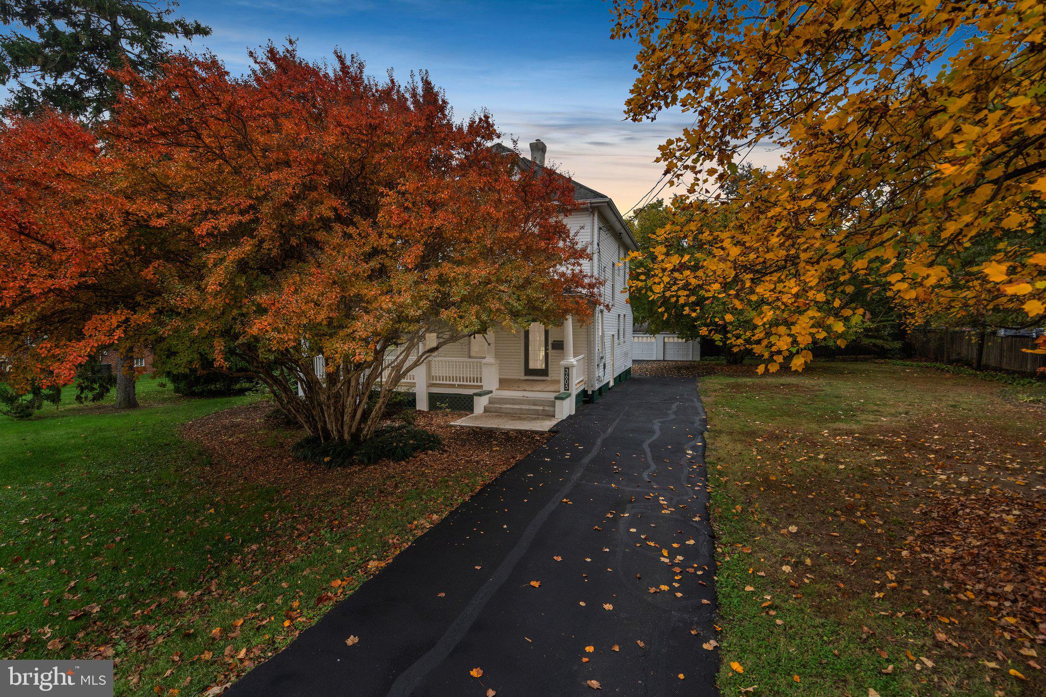 a view of a yard with an trees