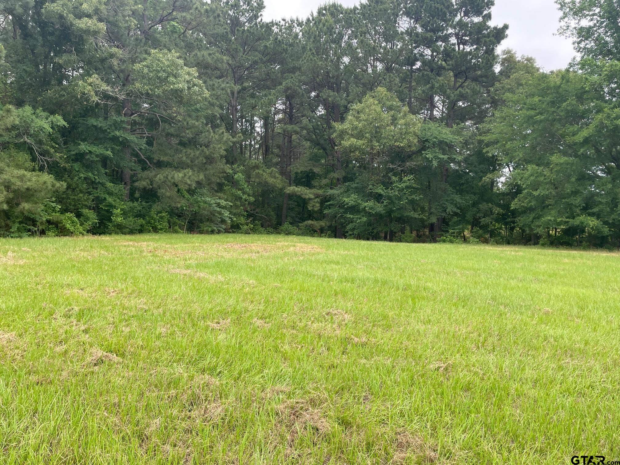 a view of a field with an outdoor space