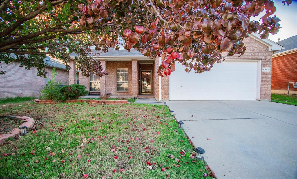 front view of a house with a tree