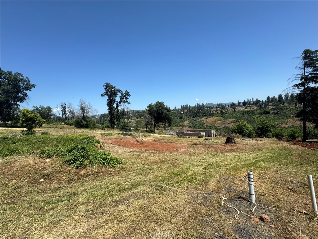 a view of a field with an trees