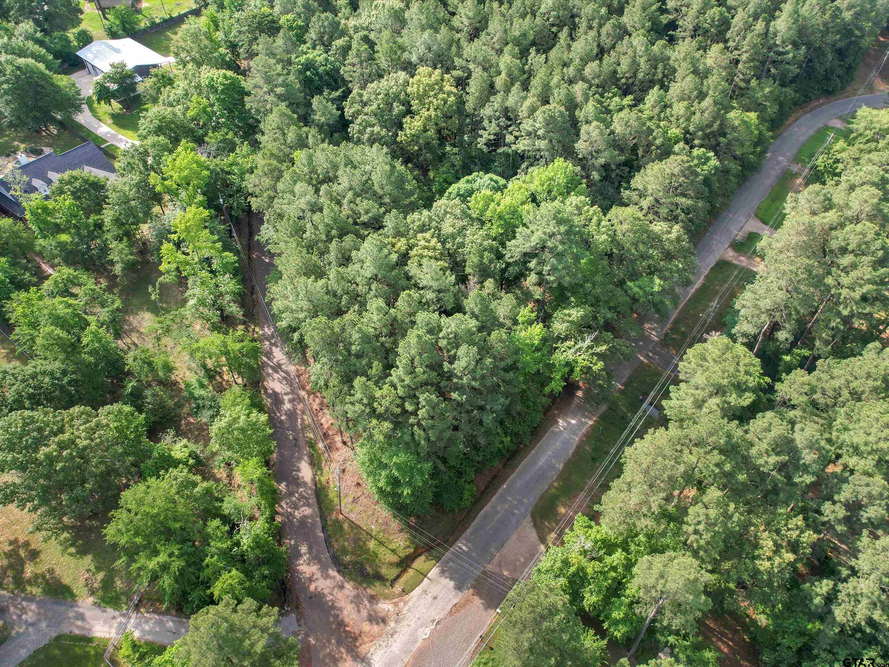 an aerial view of a forest with houses