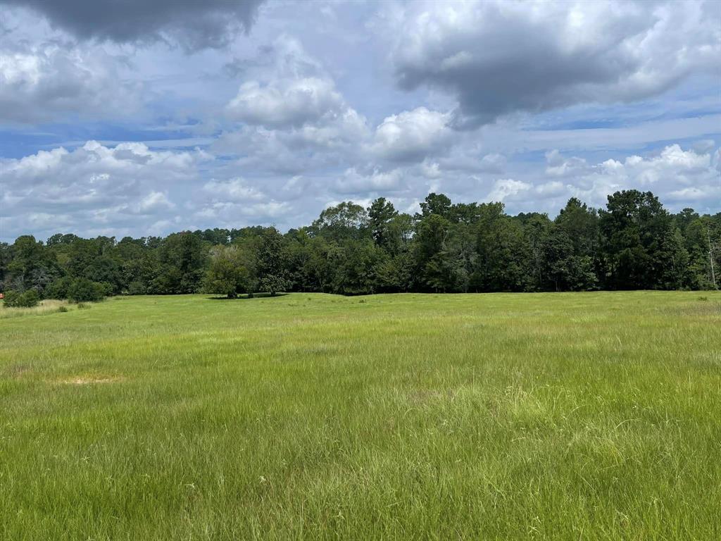 a view of a field of grass and trees