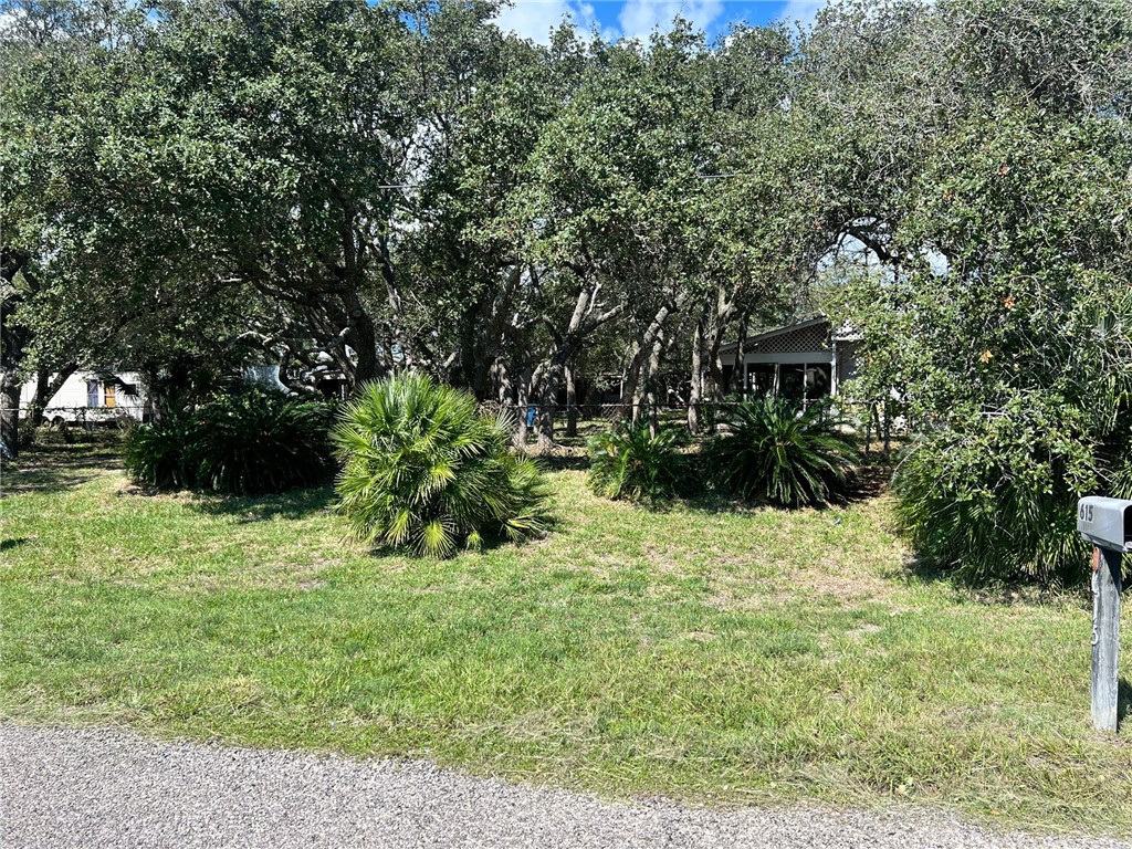 a view of outdoor space with garden