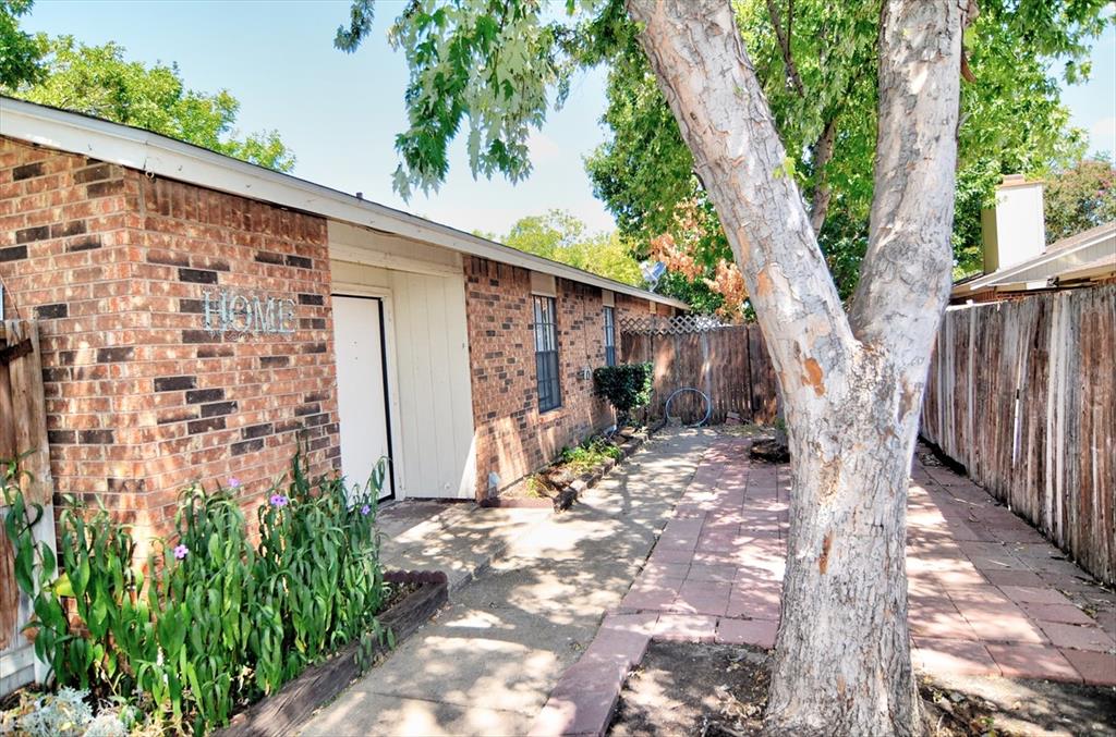 a view of a yard with plants and a large tree