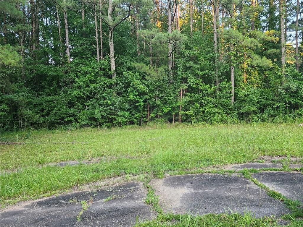 a view of a yard with a tree