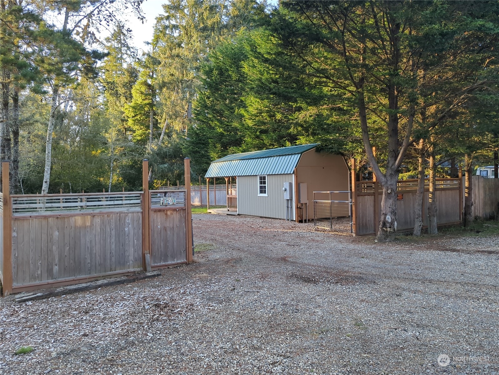 a view of a backyard