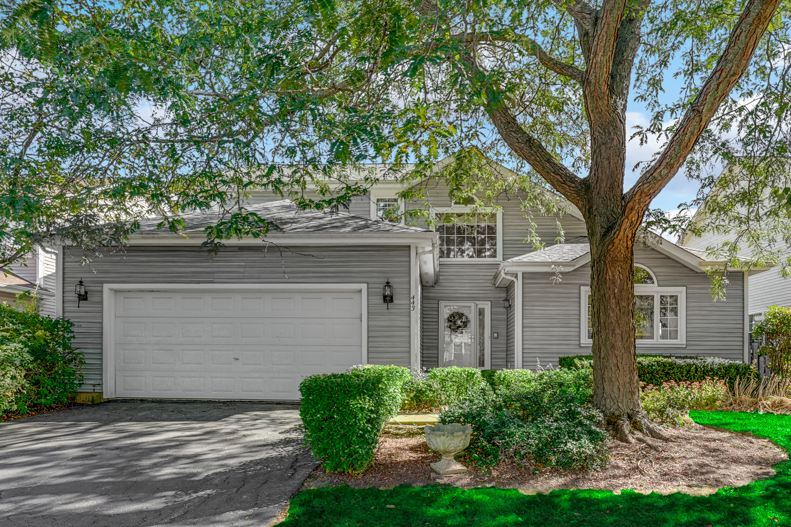 front view of a house with a tree