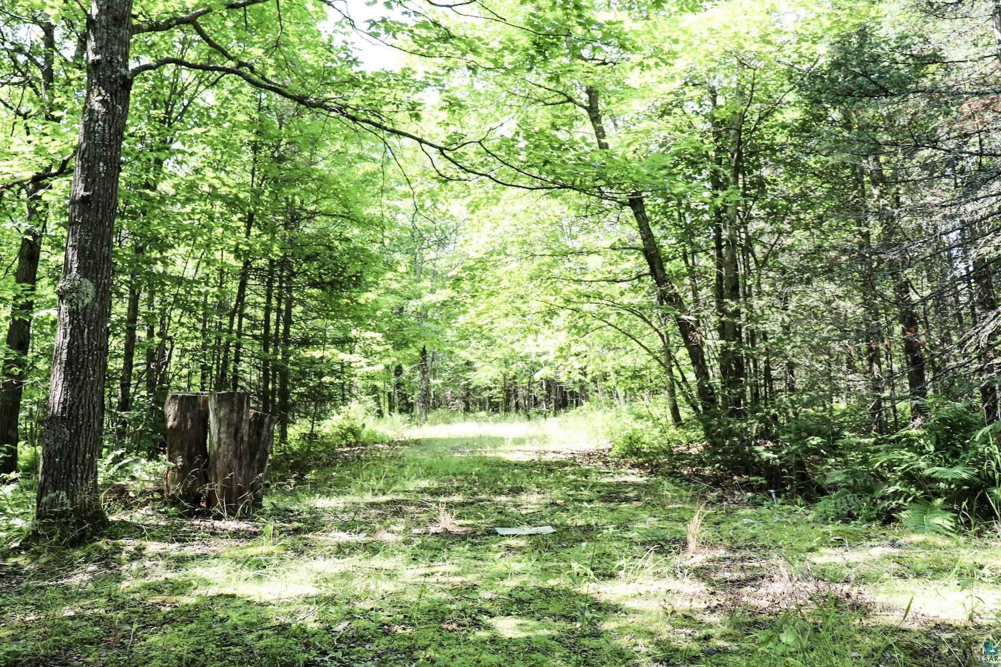 View of landscape