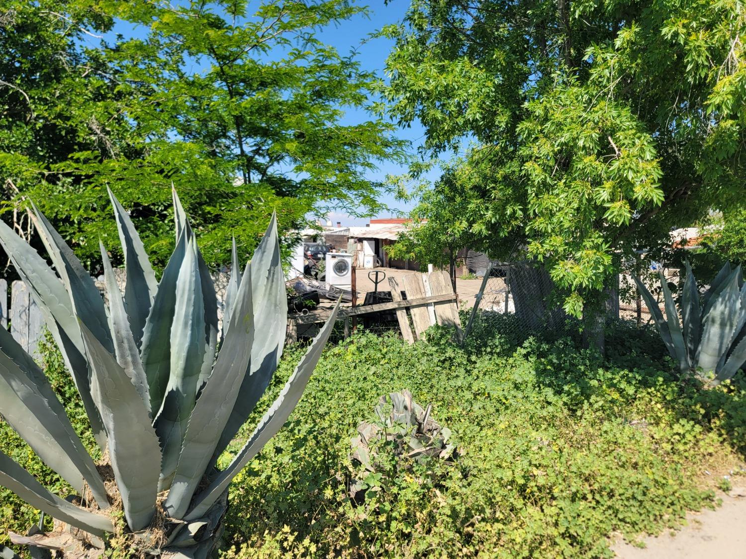 a view of backyard of house with green space