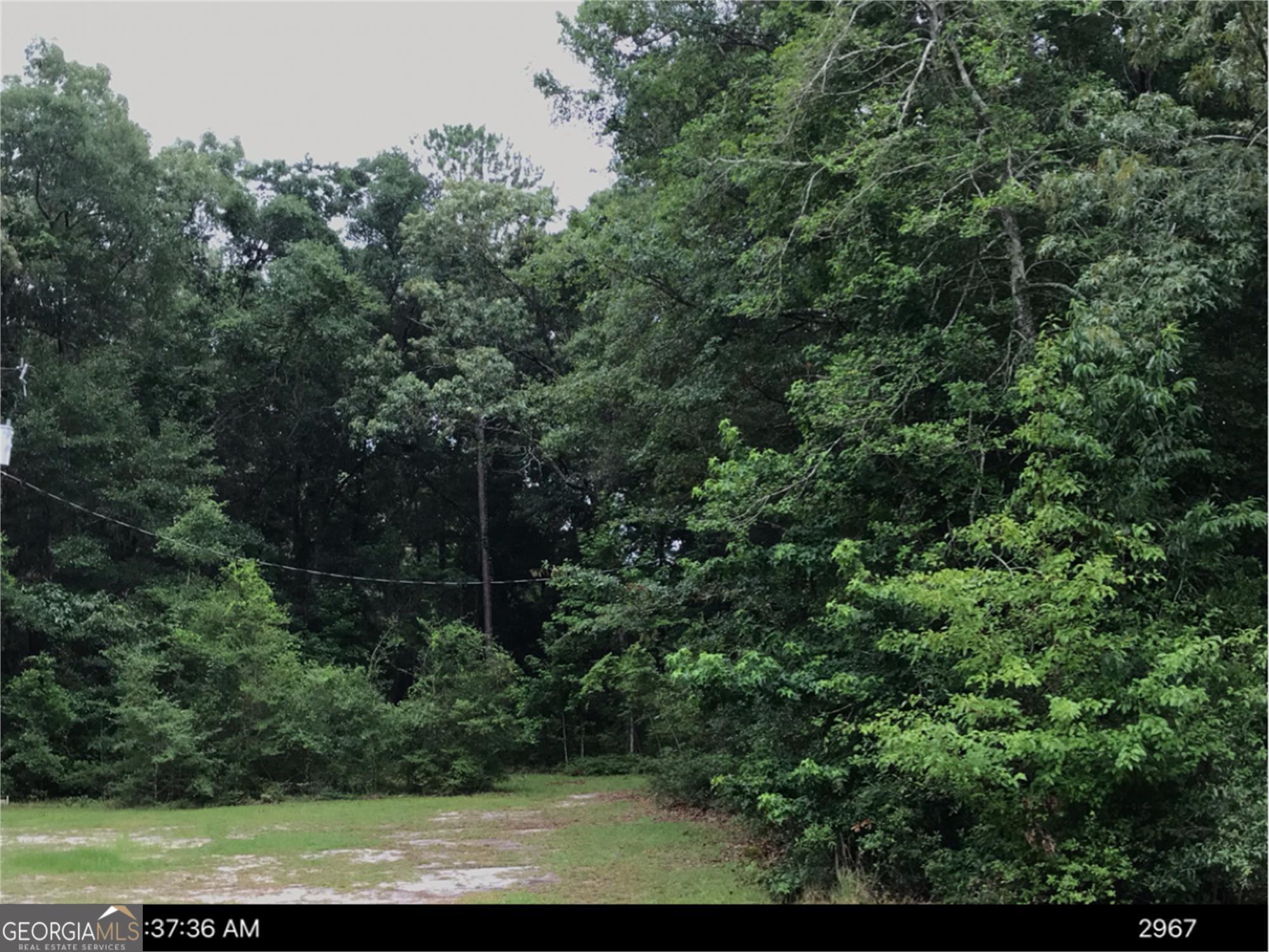 a view of a yard with a tree