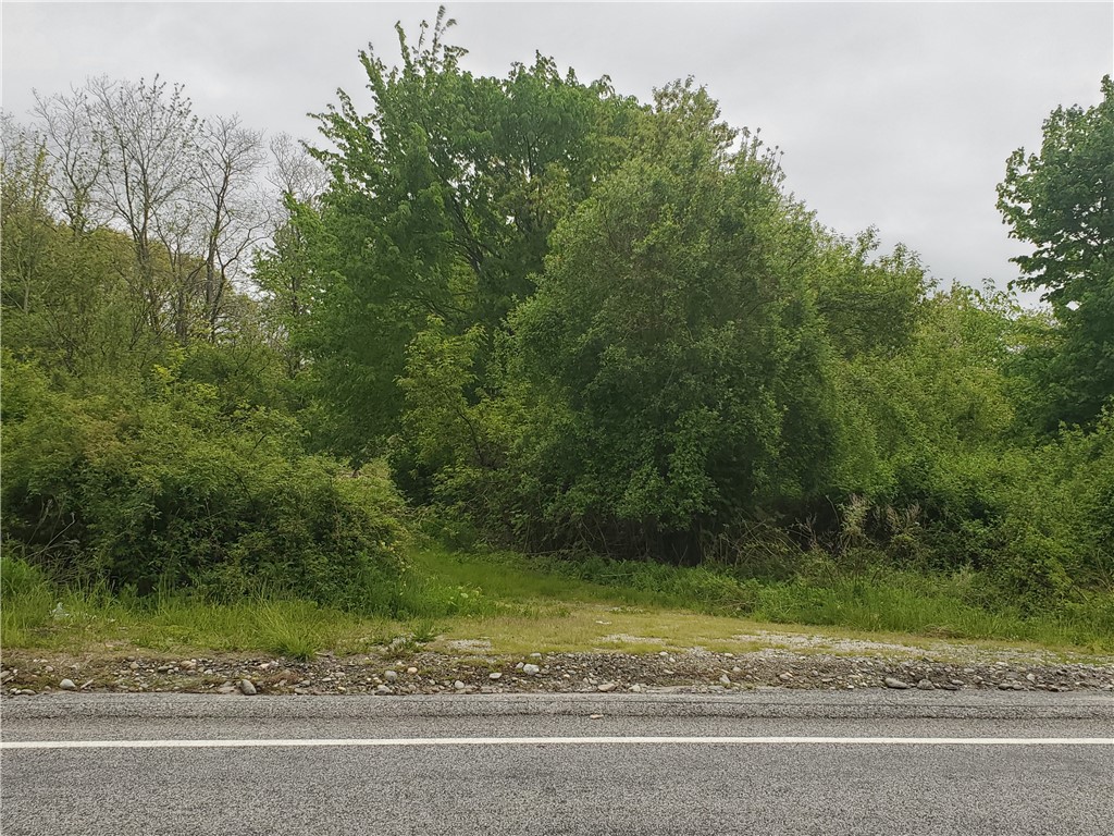 Vacant lot, (64,000sf) on Bulgarmarsh Rd