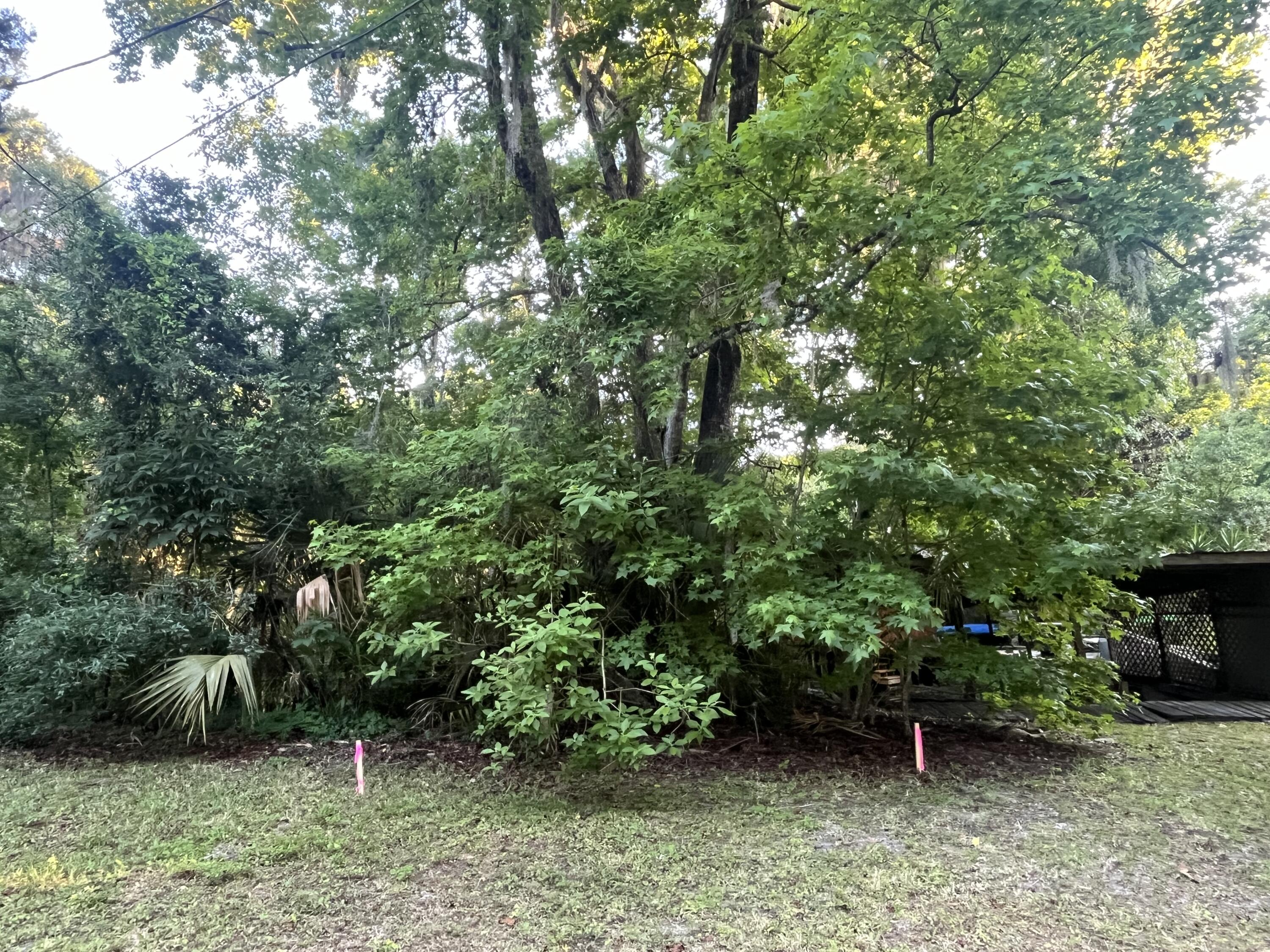 a view of outdoor space and yard