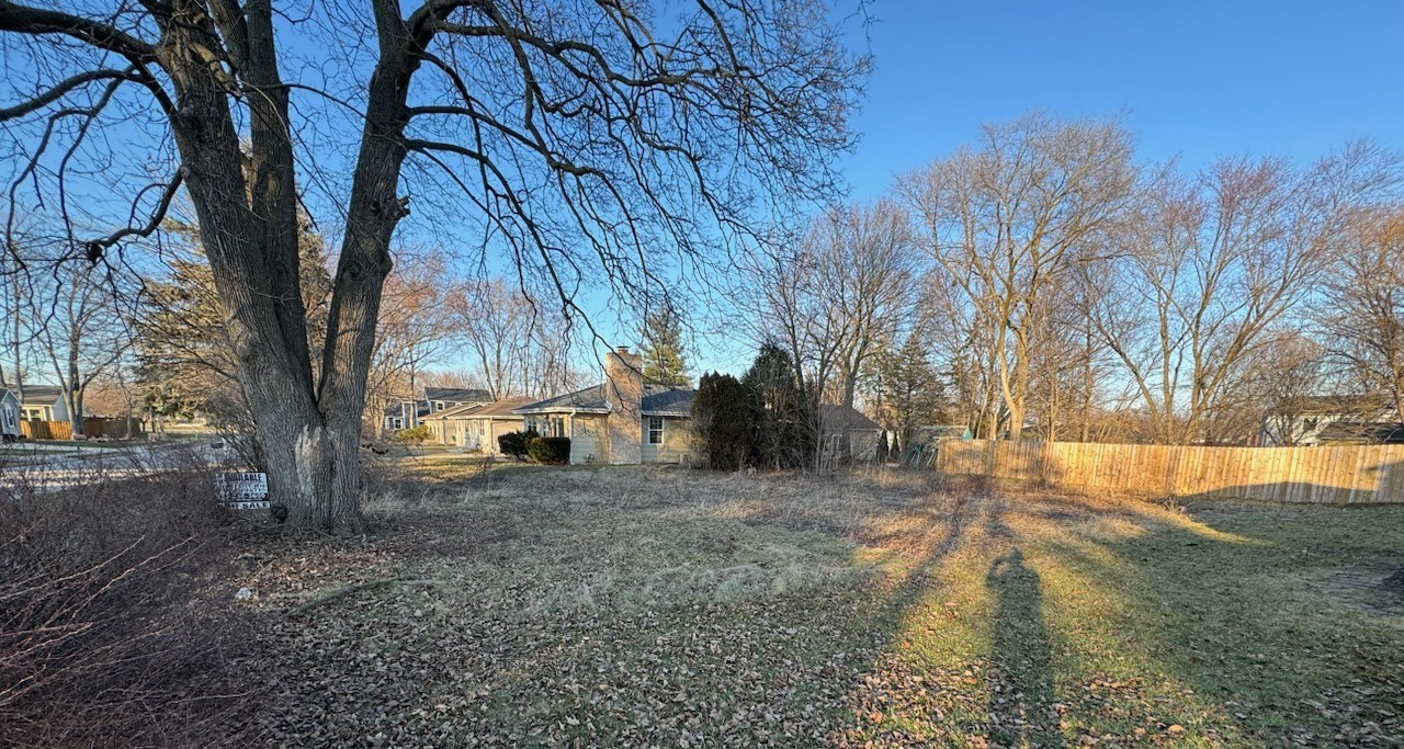 a view of a yard with a tree