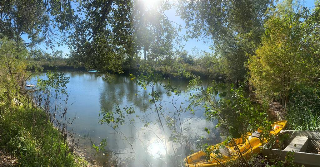 a view of a lake with a tree