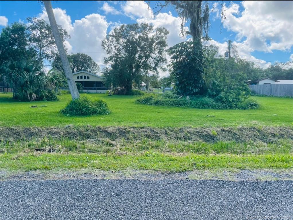 a view of a backyard with large trees