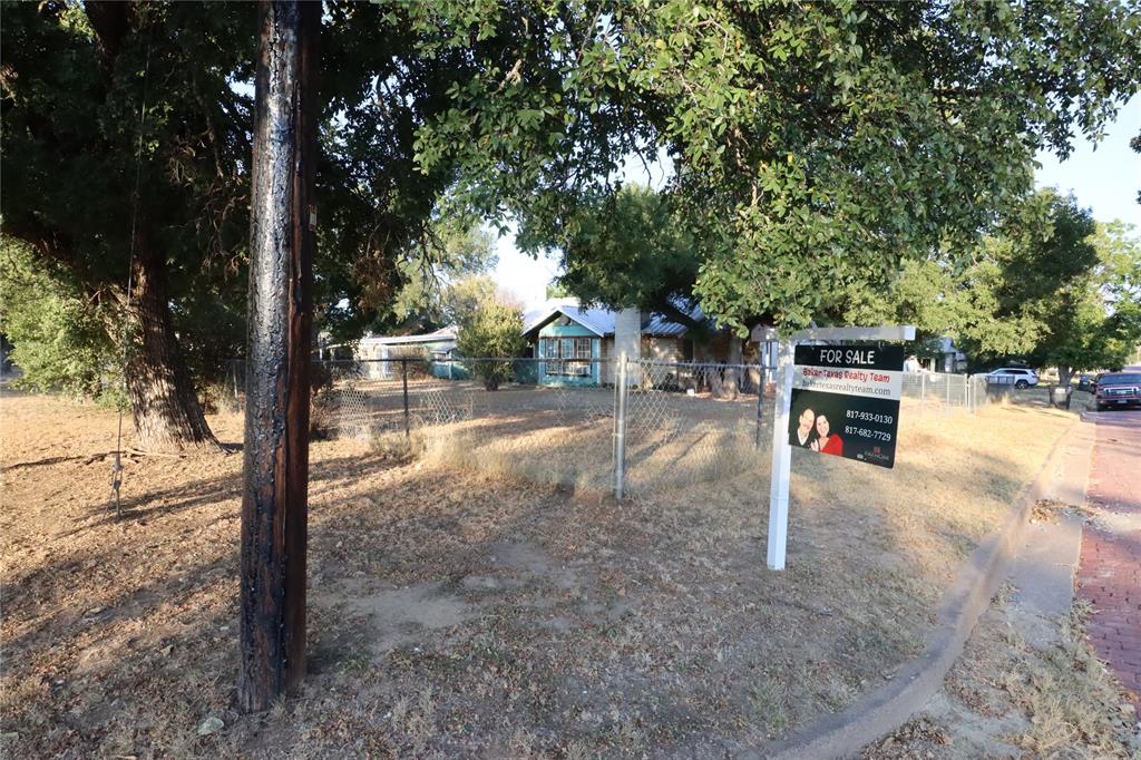 a view of a park with large trees