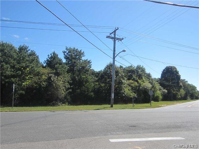 a small yard with trees in the background