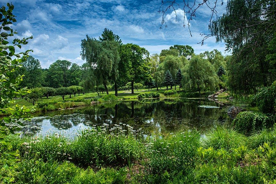 a view of a water pond with green yard