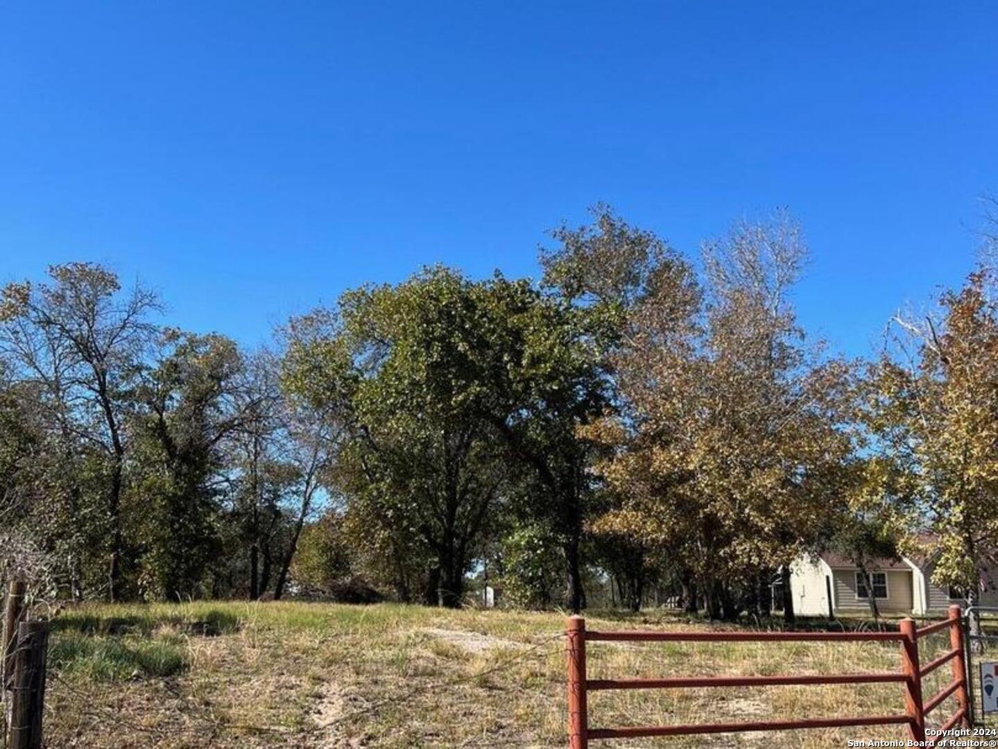 a view of a yard with large trees