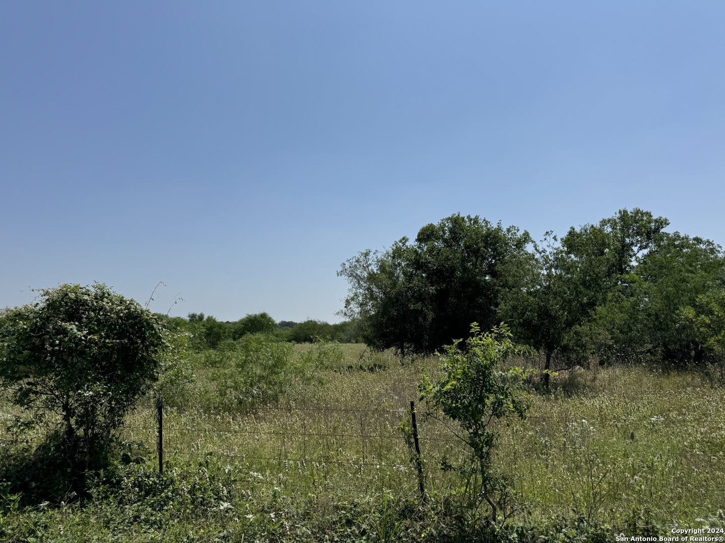 a view of a field with a tree in the background